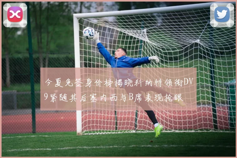 今夏免签身价榜揭晓科纳特领衔DV9紧随其后塞内西与B席表现抢眼